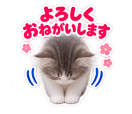 889442628