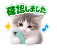 889442634