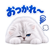 889443124