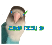 889443465