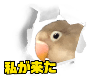 889443466