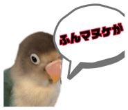889443473