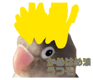 889443474
