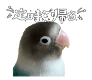 889443478