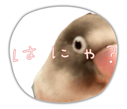 889443481