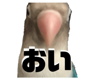 889443484