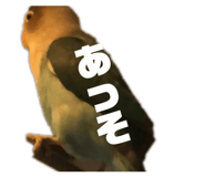 889443487