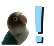 889443488