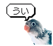 889443491
