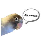 889443494