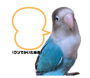 889443496