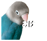 889443497