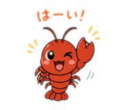 889443565