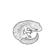 889443596