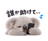 889444041
