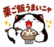 889444803