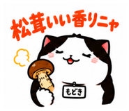 889444810