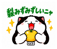 889444811
