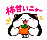 889444812