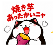 889444813