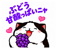 889444819