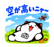 889444826