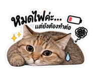 889444936