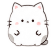 889445707