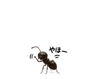 889447857