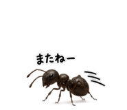 889447858