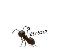 889447870