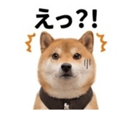 889525669