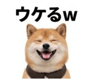 889525670