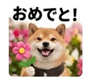 889525672