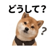 889526640