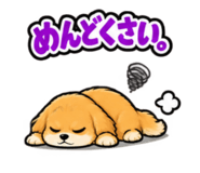 889557190
