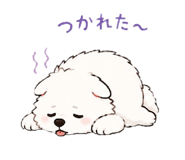 889558108