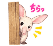 889558948