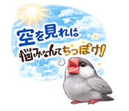 889564432