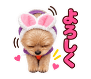 889569960