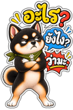 889608619