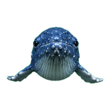 889620121