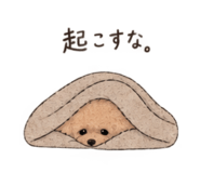 889627950
