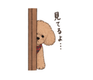 889627957