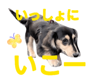 889638940