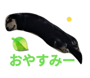 889638941