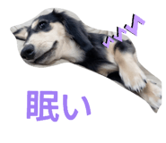 889638947