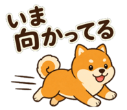889645019