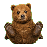 889719951