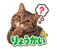 889720734